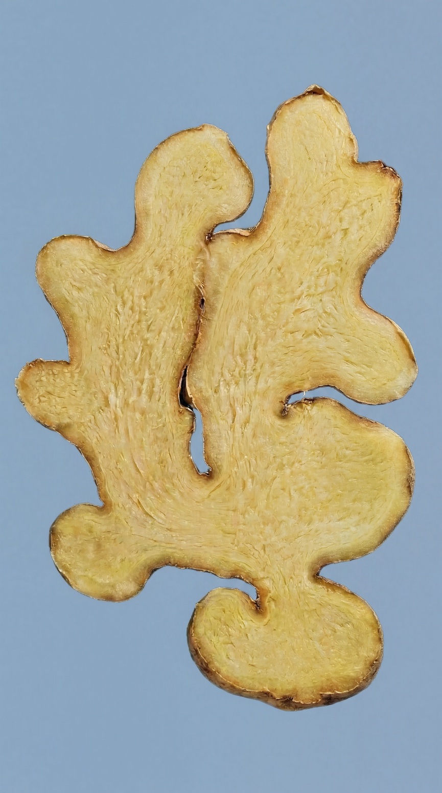 Ginger root, close up