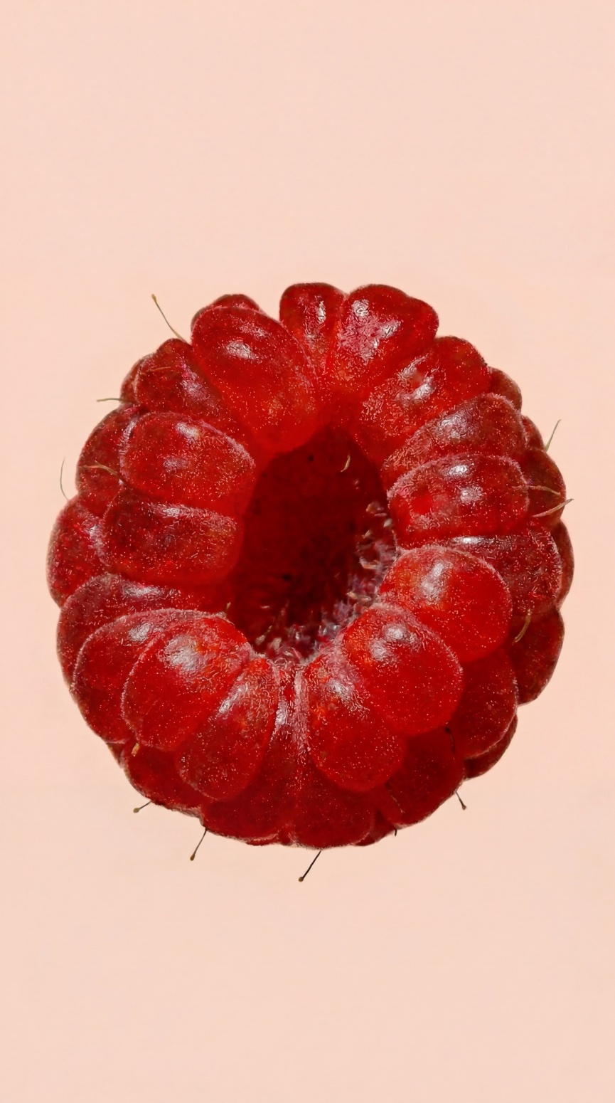 Raspberry, close up